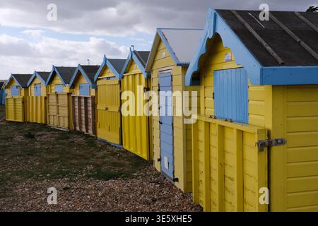 Row of yellow beach huts with blue doors along the seafront at the seaside resort of Littlhampton West Sussex England UK Stock Photo