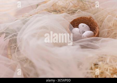 Easter eggs in nest on fabric surface with straw foreground blurred front view Stock Photo