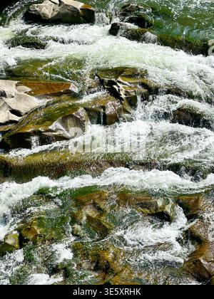 Close-up of Rushing River Water Over Mossy Rocks in Carpathian Mountains Stock Photo
