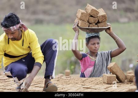 Odisha, India - 26 March 2026: View of workers amidst earthy tones, one balancing bricks on her head, the other focused on arranging them in the field Stock Photo