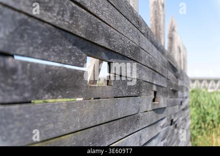 Wooden boardwalk through reeds with birdwatching fence Stock Photo