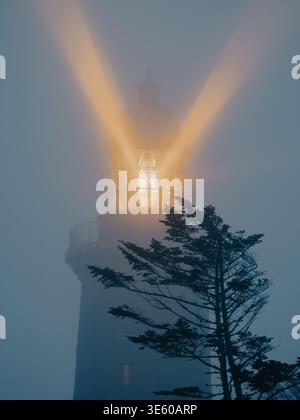 Danish lighthouse shining twin beams of light through fog, with a dark tree silhouette in the foreground. Stock Photo