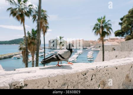 Bird Resting On Stone Fortress With Sunlit Yachts And Palm Trees Nearby Stock Photo