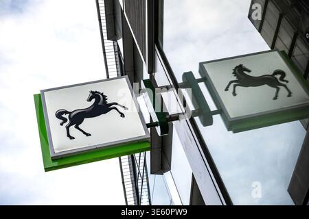 London, UK, March 3rd 2026.  Brand logo for Loyds Bank a  British retail and commercial bank, traditionally considered one of the Big Four high street Stock Photo