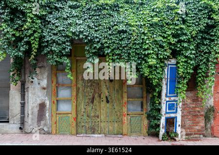 A lush ivy-covered building facade with a weathered green wooden door and a leaning blue painted panel on a street in Istanbul, Turkey Stock Photo