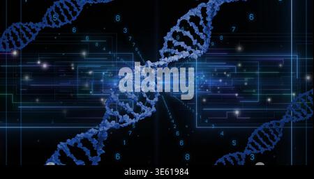 Rotating 3D blue DNA double helix twisting diagonally in virtual laboratory, with glowing particles Stock Photo