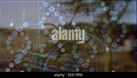 Displaying molecular helix overlay on palm backdrop, showing glowing nodes and blue grid Stock Photo
