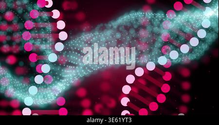 Displaying stylized DNA helix centering in lab visualization, with magenta nodes and teal ribbon Stock Photo
