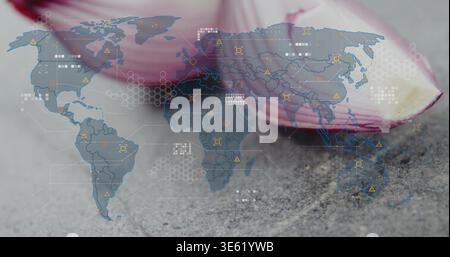 Resting single pink petal lying on coarse-gray surface, with world map overlay, hex-grid data-icons Stock Photo