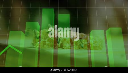 Displaying translucent green 3D bar chart overlaying honeycomb close-up in studio, with bees Stock Photo