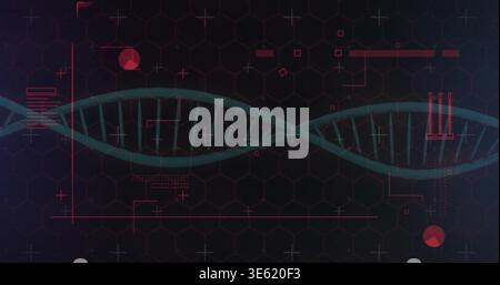 Displaying teal green DNA double helix running across dark hexagonal grid UI, with red HUD elements Stock Photo