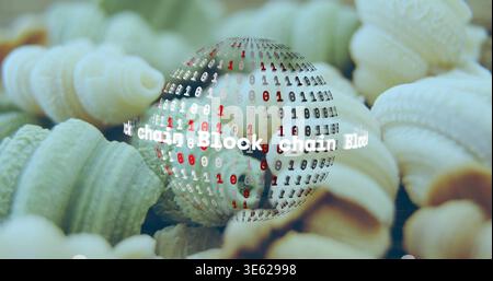 Magnifying clear glass globe hovering on tray, showing binary digits and Blockchain over conchiglie Stock Photo