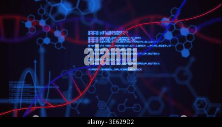 Displaying red-blue DNA helix crossing digital biotech dashboard, showing hexagons and code Stock Photo