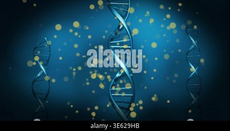 Displaying central blue DNA helix in lab, with slim blurred helices and golden bokeh Stock Photo