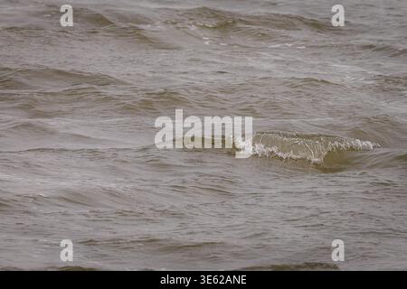 Murky brown lake water with choppy waves and a small breaking whitecap during overcast weather Stock Photo