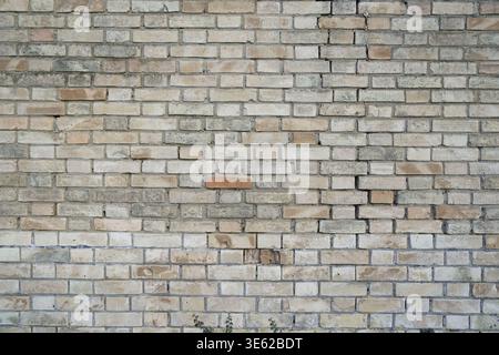 A wall made of bricks shows various shades and patterns. The bricks are laid out in a neat arrangement. Stock Photo