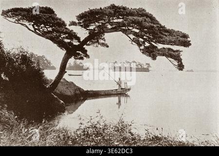 1890s Japan - Japanese Pine Tree That Looks Like a Boat