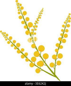 Yellow mimosa branches with small fluffy flowers on transparent background. Spring acacia floral vector for holiday design Stock Vector