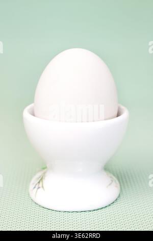 White chicken egg in ceramic egg cup on blue green background vertical macro front view Stock Photo