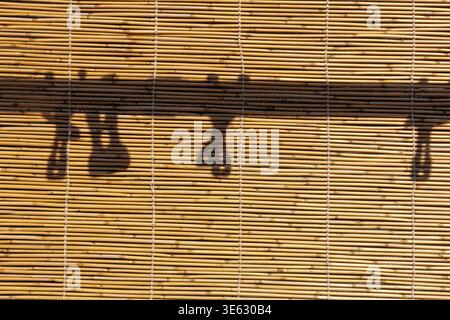 Linear patterns of mundane Japanese bamboo blind in afternoon sun adorned with shadow of clothespins on laundry pole creates compelling juxtaposition. Stock Photo