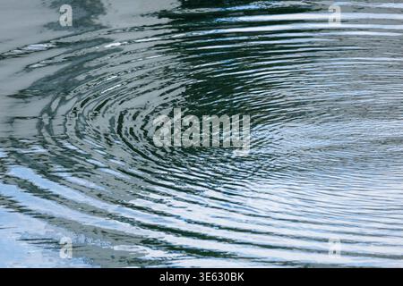 Close-up concentric ripples expanding in circular pattern across cool blue-green water surface partially reflecting daylight sky. Stock Photo