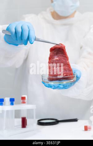 Scientist holding lab-grown meat sample with tweezers over petri dish in laboratory. In vitro cultivation of artificial tissue for sustainable protein. Biotechnology innovation addressing food Stock Photo