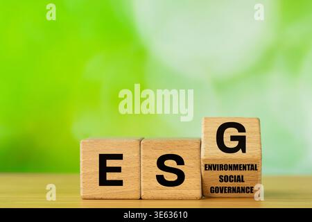 ESG environmental, social and governance concept. Idea for sustainable development of the organization. Take into account the environment, society and Stock Photo