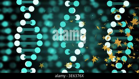 Displaying three DNA strands rotating on deep teal gradient, with gold star confetti and bokeh Stock Photo