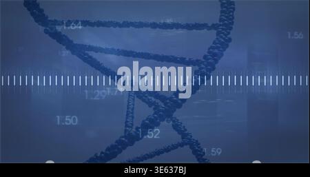 Displaying 3D DNA helix twisting in digital lab scene, with measurement bar and numeric labels Stock Photo