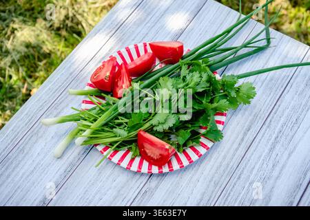 A plate with vegetables and herbs on a table in a garden in nature, preparing for a picnic. Stock Photo