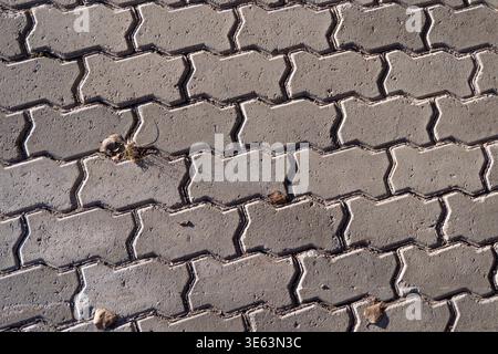 Interlocking concrete pavers in a wave pattern, texture, background. Stock Photo