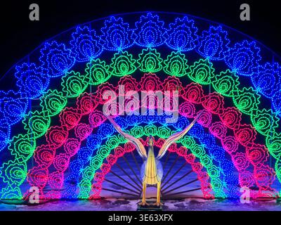 A vibrant, illuminated peacock light sculpture displays its fanned tail feathers against a dark night sky. The installation features a central Stock Photo