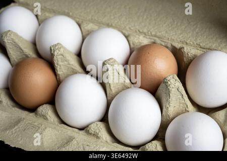 Fresh eggs in the kitchen. Nature background. Chicken egg in carton box for cooking healthy food. Bio organic eggs on the farm. Food concept. Stock Photo
