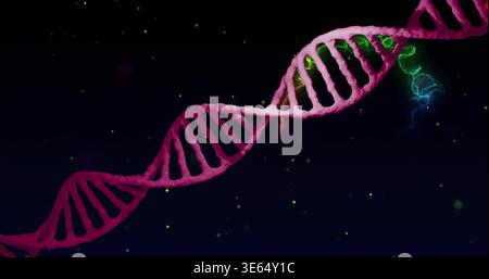 Twisting magenta DNA double helix floating on dark navy backdrop, glowing green-blue with stars Stock Photo