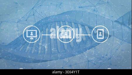 Displaying stylized DNA helix in data grid, linking PC, laptop, smartphone icons with mesh Stock Photo