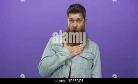 Bearded man in denim jacket with long ginger beard and open mouth expression pressing hand to chest in purple studio; surprise. Stock Photo