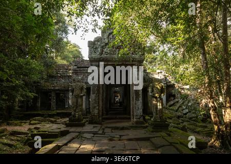 Ancient temple gate stands beneath dense green canopy. Sunlight filters through leaves, casting soft shadows. Stone steps lead into deeper, mysterious Stock Photo