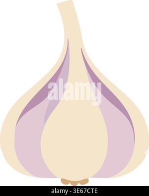 Flat illustration of a whole garlic bulb with a tall stem and pale purple clove divisions. Stock Vector