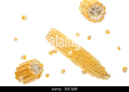 Flying corn cobs and kernels on white background Stock Photo
