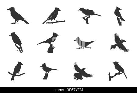 Blue jay birds silhouette set, Blue jay svg, Birds silhouette, Blue jay vector, Blue jay birds clipart. Stock Vector