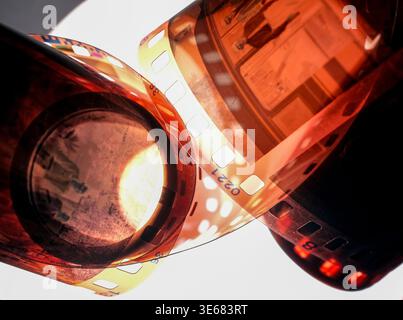 Close-up of orange 35mm film negatives curled and overlapping on white background, warm light glowing through sprocket holes and frames Stock Photo