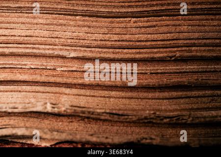 Close-up of layered sedimentary rock with horizontal striations in warm brown tones Stock Photo
