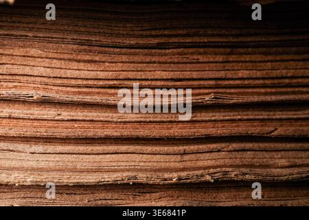 Close-up texture of stacked corrugated cardboard or layered brown paper sheets showing horizontal ridges and fibers, warm lighting Stock Photo