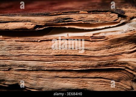 Close-up of stacked, weathered book pages with rich warm tones and textured edges, showing age and layered fibers Stock Photo