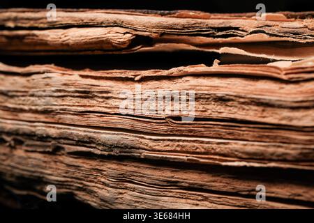 Close-up of old, layered book pages with textured, uneven edges in warm brown tones, shallow depth of field Stock Photo