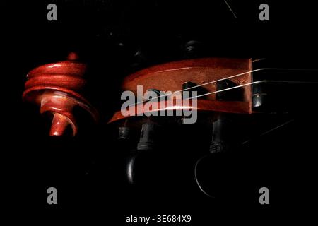 Close-up of a violin pegbox and scroll with strings, warm wood tones against black background Stock Photo