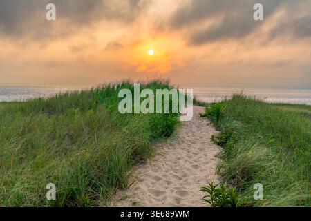 A winding sandy path cuts through lush green dune grass, leading the eye toward a vast, calm ocean. Above the horizon, a glowing sun breaks through. Stock Photo
