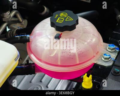 Close up of a car coolant expansion reservoir tank filled with pink antifreeze. Professional maintenance and automotive service concept showing engine Stock Photo