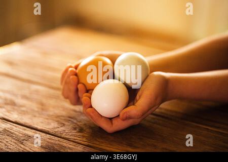 Hands grasp three eggs, one brown and two white, placed on a rustic wooden table with warm, natural lighting enhancing the texture Stock Photo