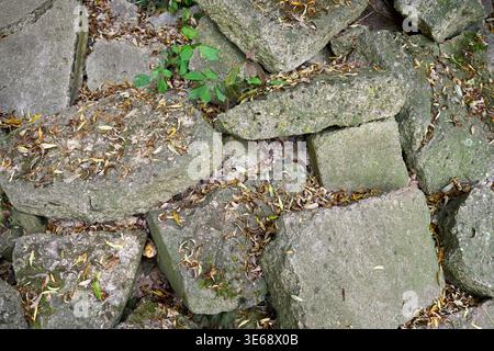 Old grey stone blocks and ruins covered with dry leaves and small green plants. Natural stone texture and background. Stock Photo
